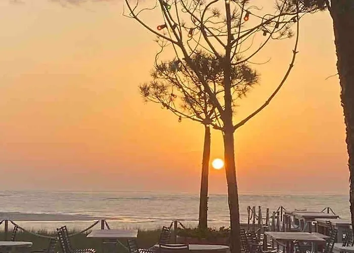 Lejlighed Maison Avec Piano A Eysines *