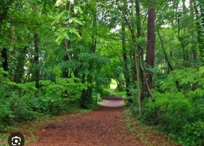 Maison Avec Piano A Eysines